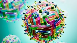 The West Nile virus is depicted here as an illustration.
