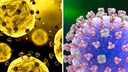 Left, the coronavirus; right, the flu virus.