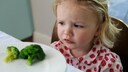 Children and Broccoli: Little Girl Looks Critically at a Plate of Vegetables