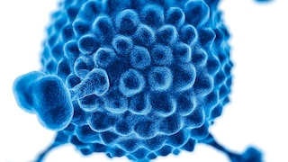 Hepatitis in Children: Symbolic Image for Adenovirus