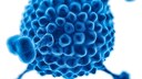 Hepatitis in Children: Symbolic Image for Adenovirus