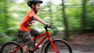 Little Boy on the Bicycle