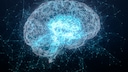 Vitamin D and Dementia Risk