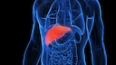 Preventing Fatty Liver Through Diet