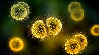 Meningitis: Inflammation of the Brain Membranes
