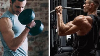 Which is better for building muscle - training with free weights or on machines?
