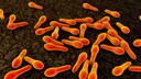 Tetanus is caused by certain bacteria (Clostridium tetani).