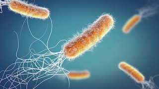 Study on antibiotic resistance, a serious threat to global health