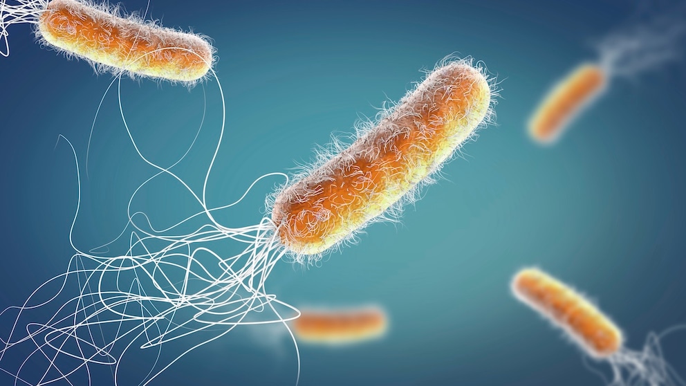 Study on antibiotic resistance, a serious threat to global health