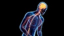 Early Parkinson's symptoms