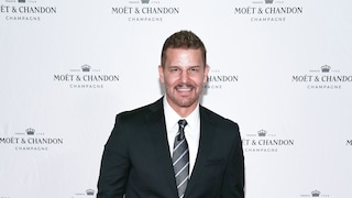 Hollywood star David Boreanaz