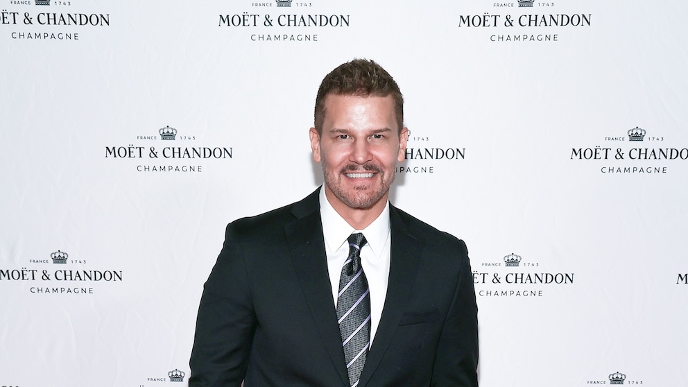 Hollywood star David Boreanaz