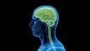 Type 2 diabetes damages the brain