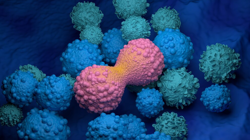 A mechanism of action behind the coronavirus infection could help fight cancer tumors, researchers have discovered