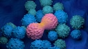 A mechanism of action behind the coronavirus infection could help fight cancer tumors, researchers have discovered