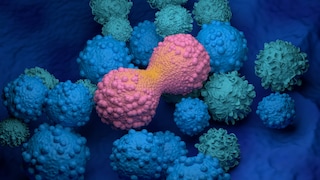 A mechanism of action behind the coronavirus infection could help fight cancer tumors, researchers have discovered