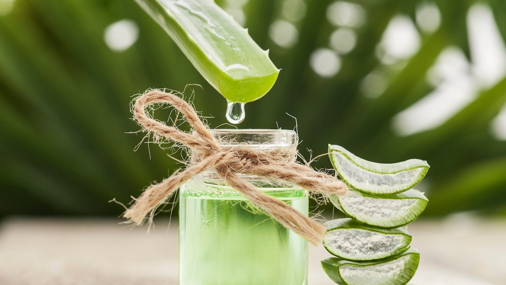 Botanical drinks are crafted with plant-based flavors (botanicals) and mimic spirits–as non-alcoholic alternatives.