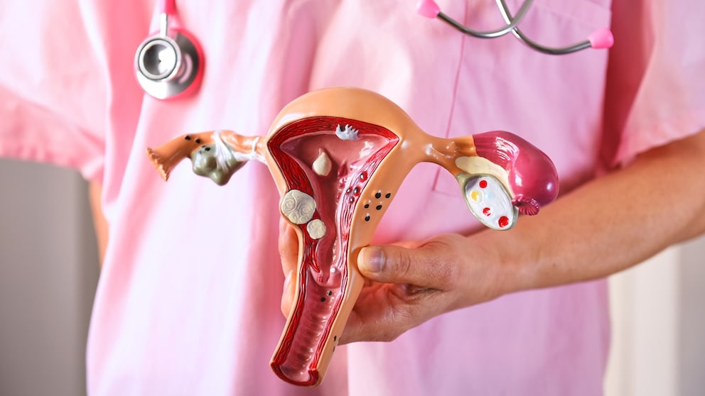 Uterus