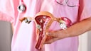 Uterus
