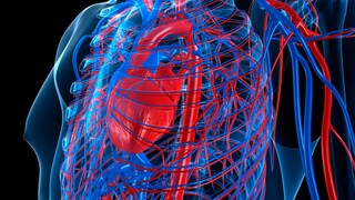 It is important to know the symptoms of high blood pressure