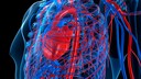 It is important to know the symptoms of high blood pressure