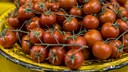 Tomatoes