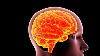 TBE - Tick-borne encephalitis