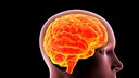 TBE - Tick-borne encephalitis