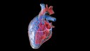 Symptoms of heart failure can look very different