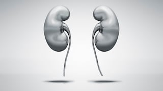 Kidneys