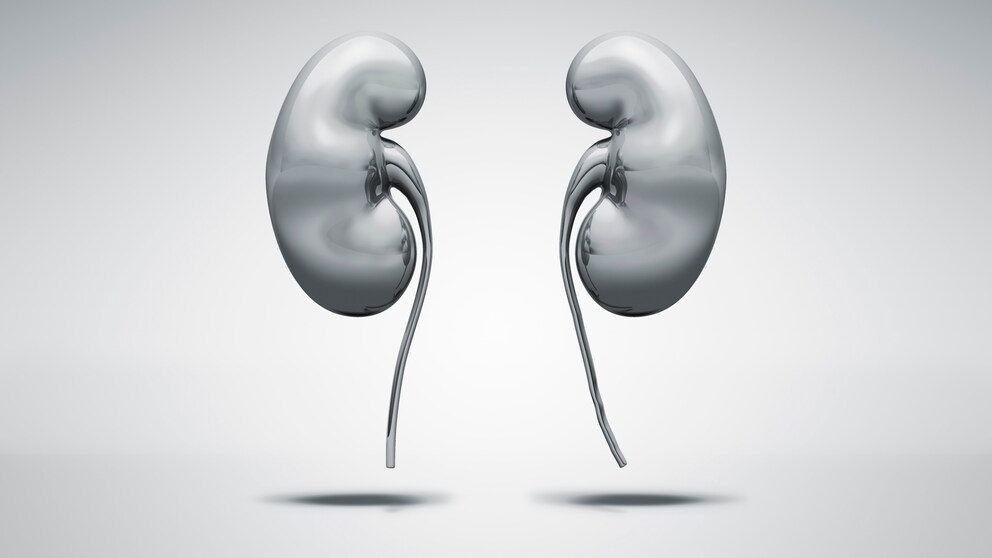 Kidneys