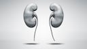 Kidneys