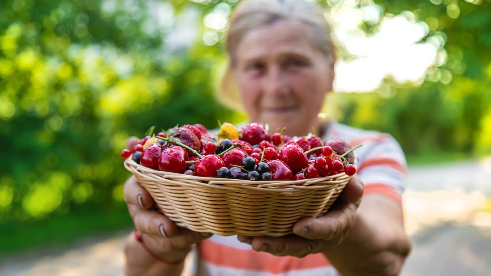 Flavonoids promote healthy aging