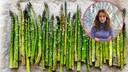 Air Fryer Asparagus Recipes