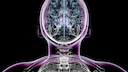 Parkinson's Disease