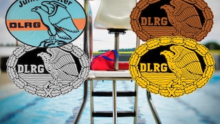 German Lifeguard Certification Badges