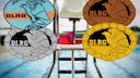 German Lifeguard Certification Badges