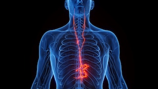 Vagus nerve