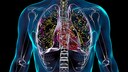 Tuberculosis has become rare in Germany, but the numbers are rising. The outcome of the disease is particularly life-threatening.