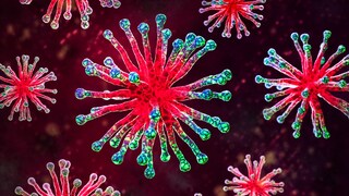 Three pathogens are currently causing numerous infections in Germany.