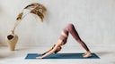 Yoga Pose "Downward-Facing Dog"