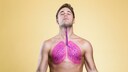 Longevity is also linked to having healthy lungs