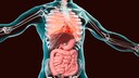 Consumption of highly processed foods has significant health consequences, as demonstrated by a major study published in The Lancet.
