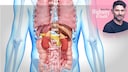 Low-carbohydrate diets offer health benefits, including advantages for the liver and kidneys.