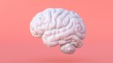 The brain ages in leaps, not uniformly