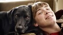 Do Dogs Change the Oral Microbiome of Their Human Owners?