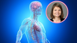 What the Nervous System Has to Do With Aging