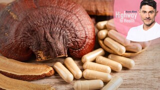 Medicinal mushrooms, such as the pictured Reishi, have been used for centuries. Researchers are also interested in their potential effects.