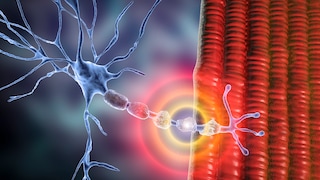 New Factor Identified for Multiple Sclerosis
