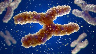 Subtle Signals Can Be Crucial: Early Signs of Angelman Syndrome